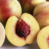 Kako uzgojiti breskvu iz sjemenki kod kuće